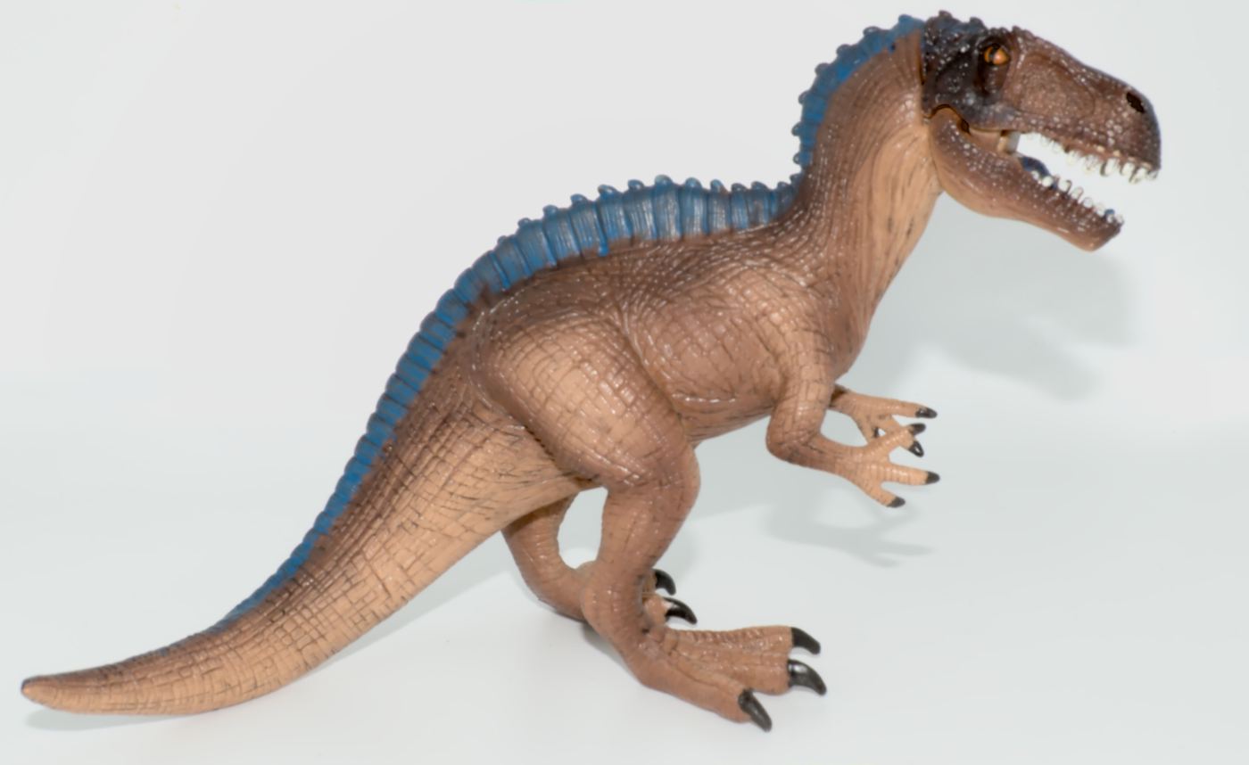 Acrocanthosaurus