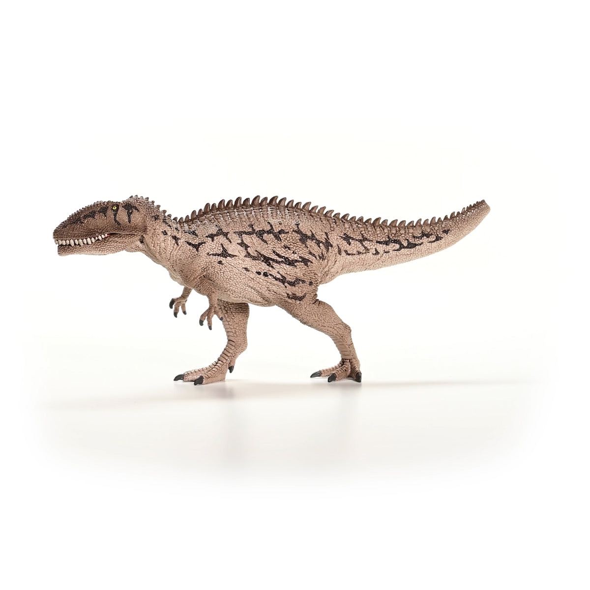 Carcharodontosaurus