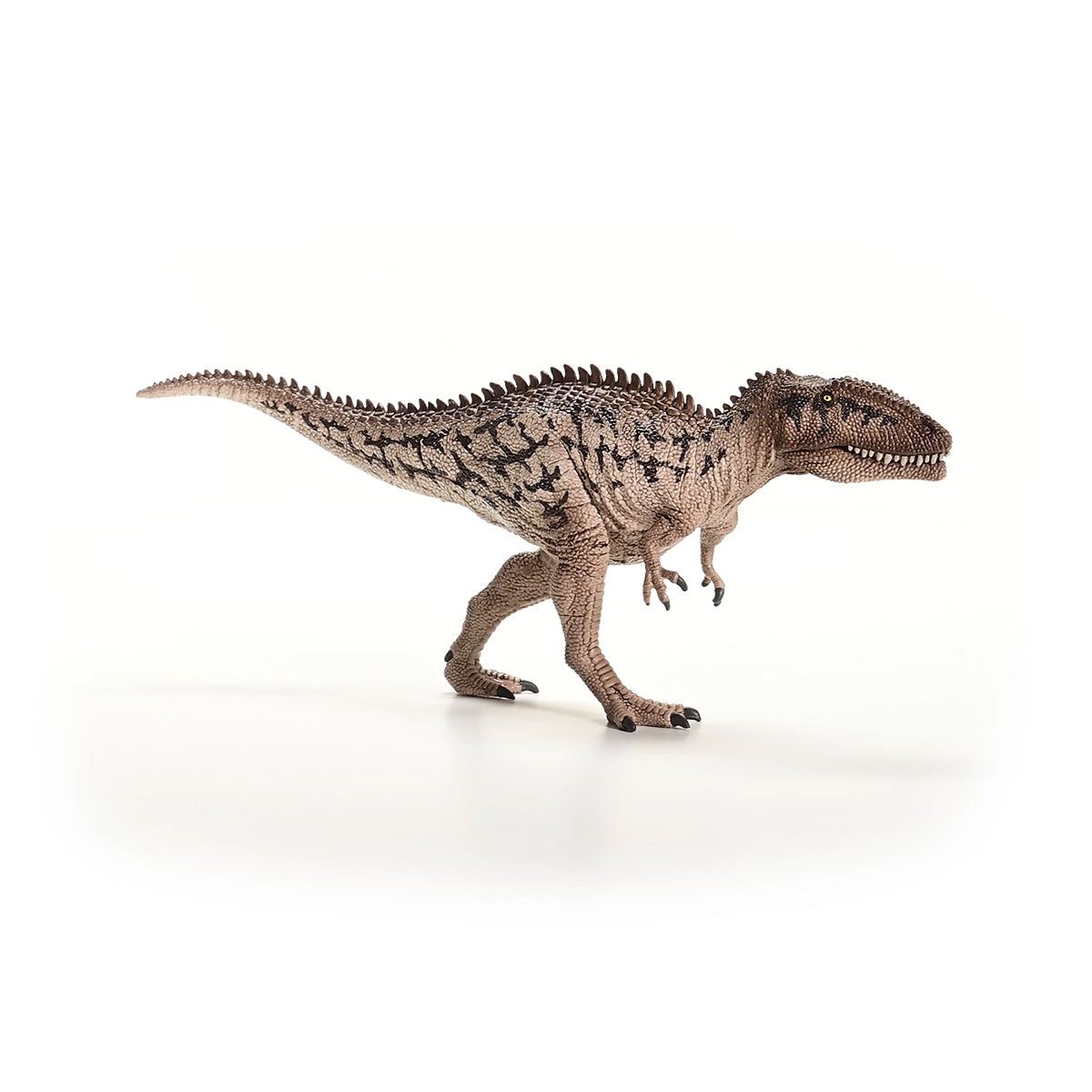 Carcharodontosaurus