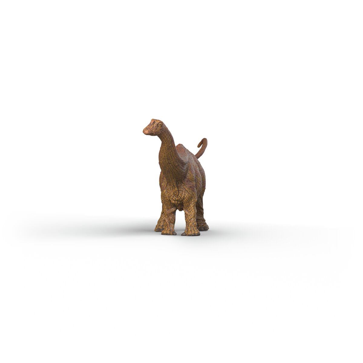 Brontosaurus