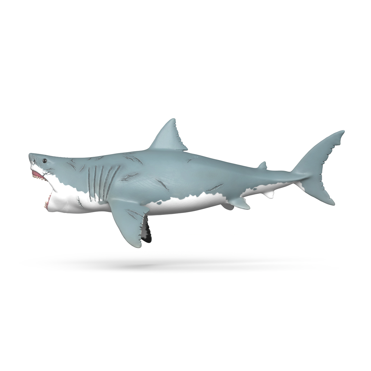 Mégalodon