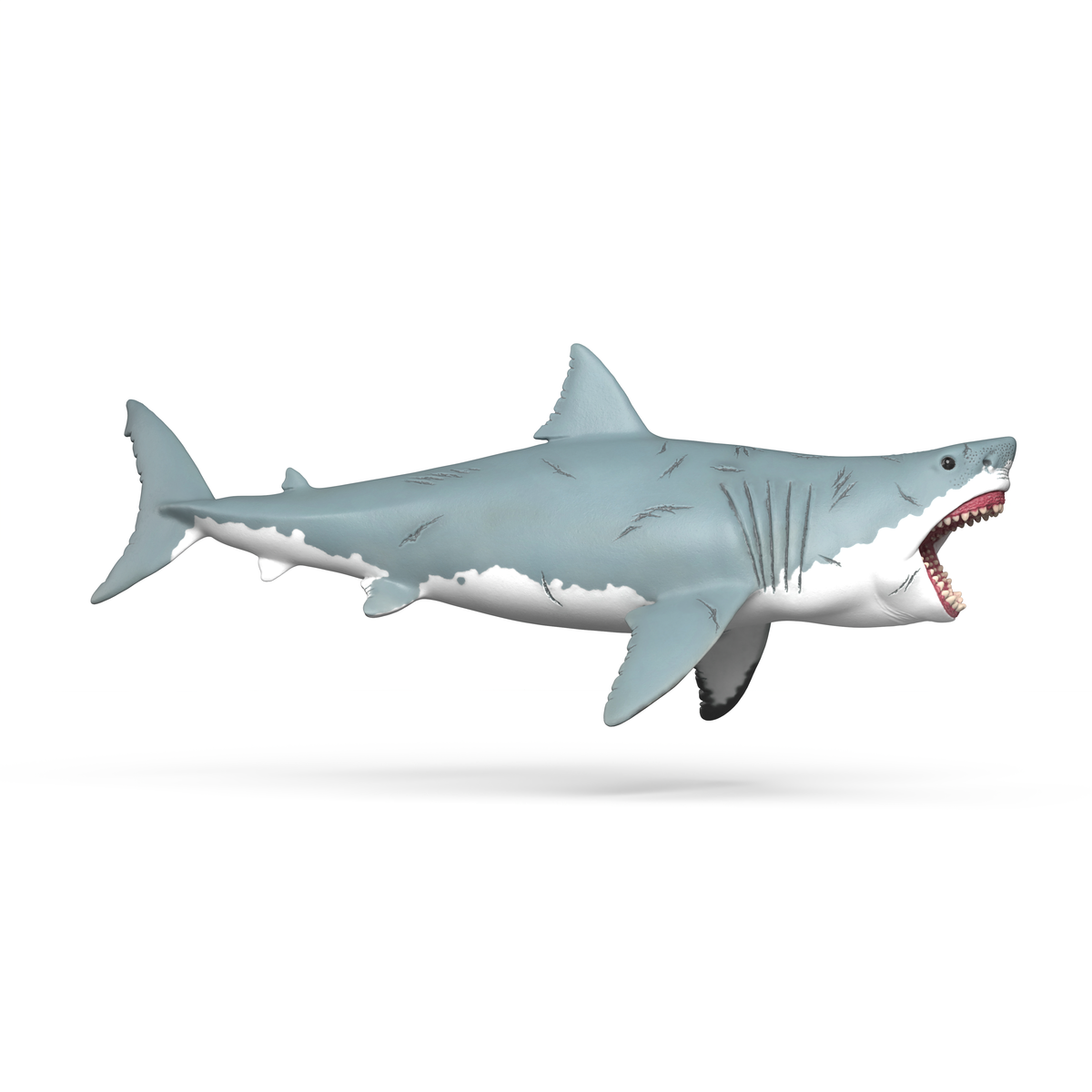 Mégalodon